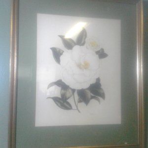 Magnolia Still Life Watercolor by Dorothy Pane